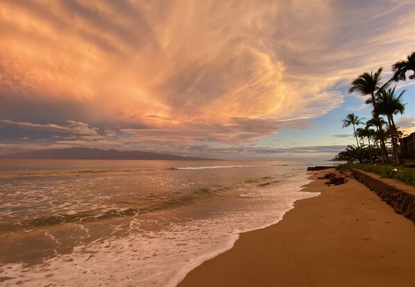 A morning walk on our beach.