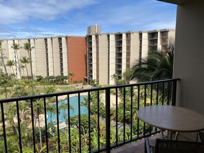 From the Lanai