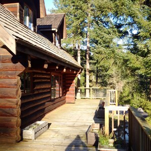 The Enchanted Woods Waterfront Log Cabin at Secret Cove