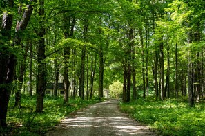 Overnatningsstedets område