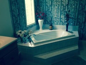 Master Bath Jacuzzi