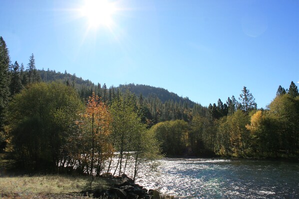 Rogue River from property