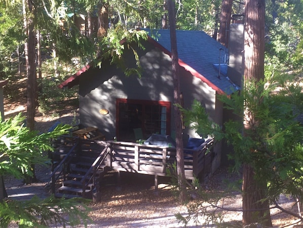 Cozy cabin in the woods