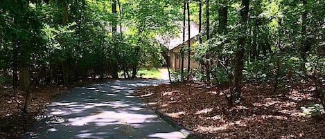 Entry Driveway