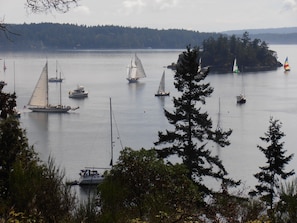 Deer Harbor boating activity right out in front of you.