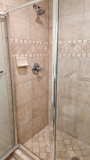 Master bathroom walk-in shower