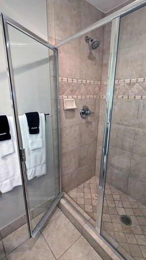 Master bathroom walk-in shower