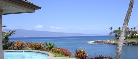 View from the pool and spa