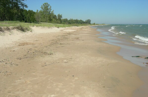 Ranta
