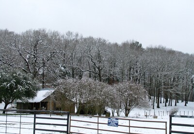 RELAX, UNWIND, REFRESH...TAKE a TRIP to the PAST in this CABIN built in 1865.