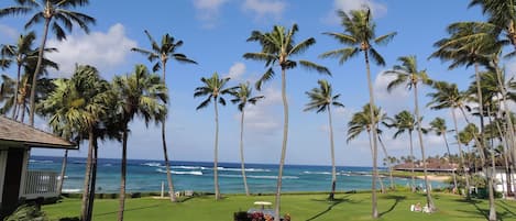 Pure Paradise!  The ocean view from the lanai of unit 17!