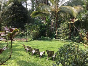 Relax in the Sunny front yard