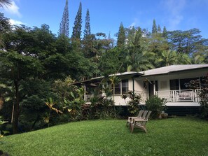 The Jungle Farmhouse overlooks the 2.3 acre farm and gardens.