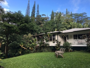 The Jungle Farmhouse overlooks the 2.3 acre farm and gardens.