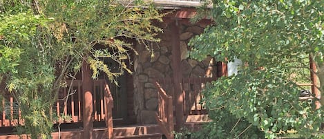 Tree lined path to the front porch.