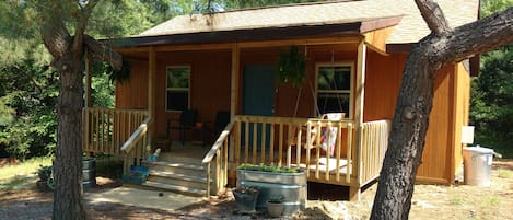 Cabin tucked in the pines