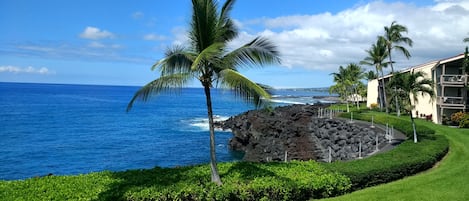 View from Lanai