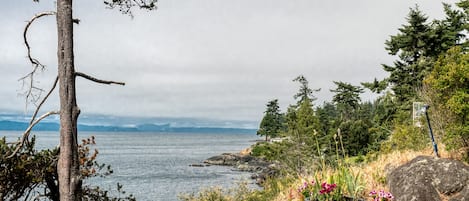 View from the path of the garage to cottage