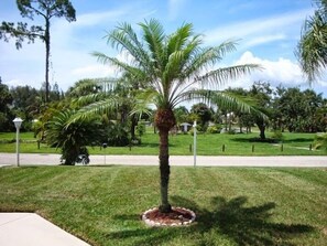 View from the front door