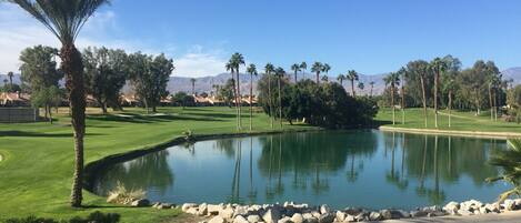 Beautiful View from the Clubhouse