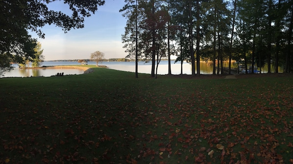 full view of back yard