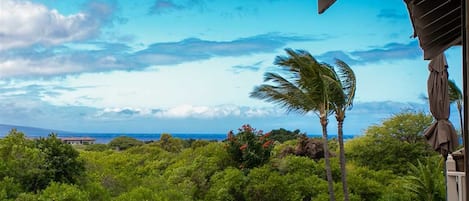 Vista da propriedade