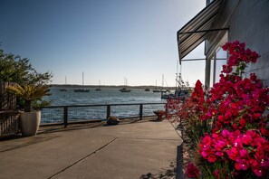 263 Main drive way Morro Bay
