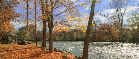 The Little Pigeon River Provides A Scenic & Tranquil Backdrop