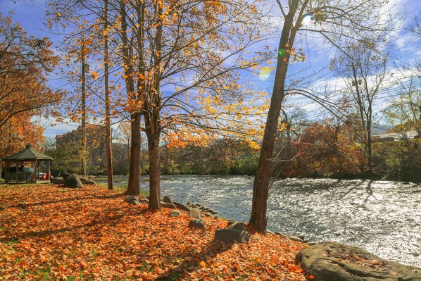 The Little Pigeon River Provides A Scenic & Tranquil Backdrop
