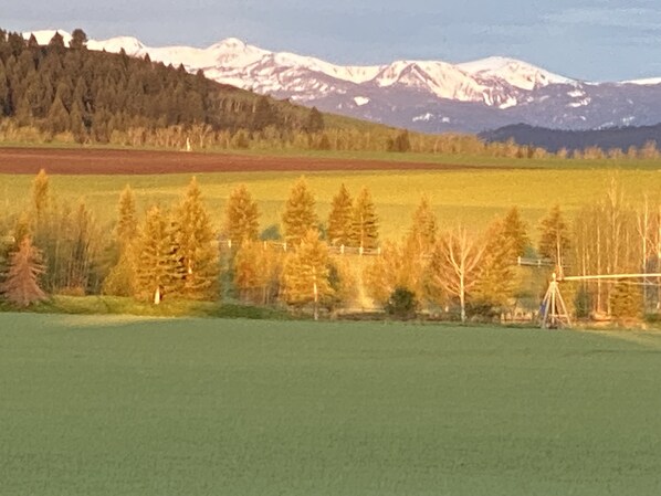 Early Summer View of the Tobacco Root Range From Patio
