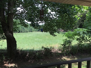 Neighbors Pasture view off of Master Back Porch