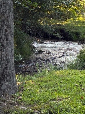 Creek on property