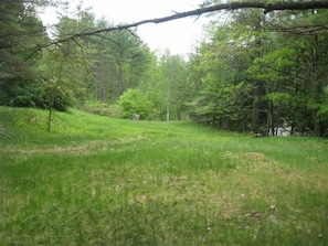 Recreational field