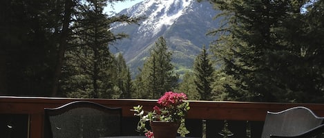 View of White House Mountain from deck in early summer.