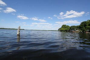 View along the shore of Lake Rousseau