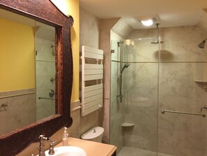 Spa shower and towel warmer