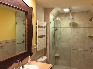 Spa shower and towel warmer