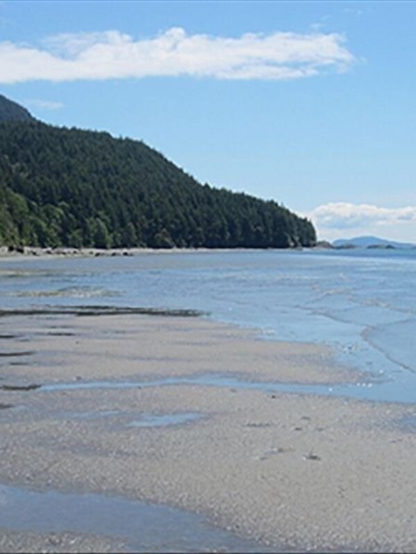 Low tide on the west side of Lummi in front of Lummi Beach Haven