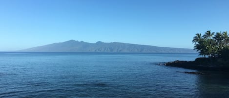 Unobstructed views of Molokai, Lanai, the Pacific and a bay full of turtles
