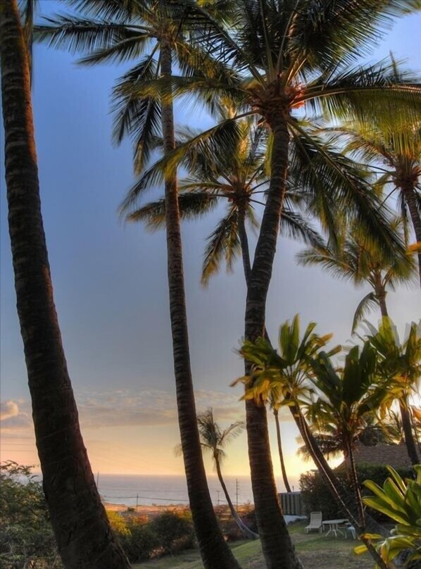 View From Lanai