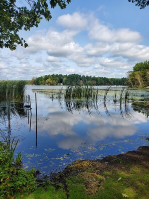 View of lake