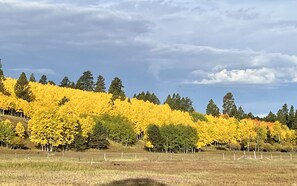 Fall view across the meadow