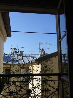 ' les toits de paris'