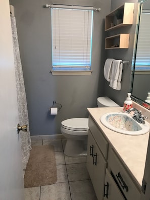 Lower level bath with shower