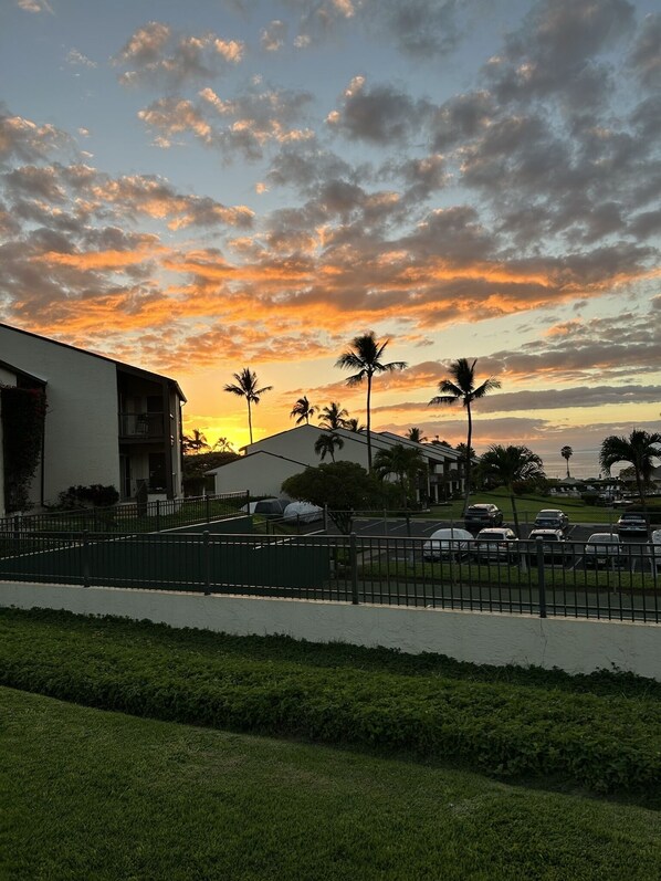 View from grass lawn a few feet from the lanai.