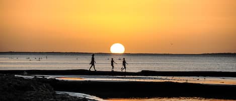 Vue sur la plage ou l’océan