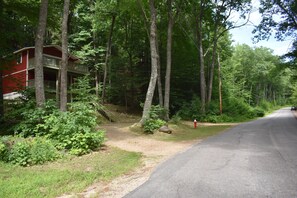 Town Hall road looking north