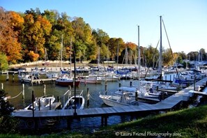 Boats and Autumn Leaves - thanks to guest Laura Friend, Photographer