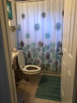 Upstairs Guest Bathroom