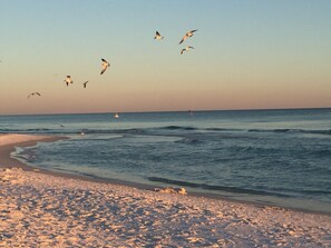 Awesome beach!